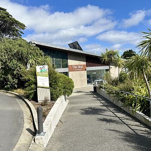 The Nest (Vet Hospital)