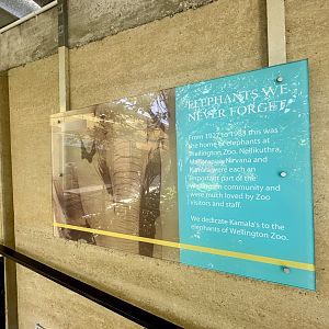 Elephant History Signage