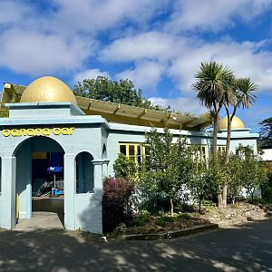 Historic Elephant House