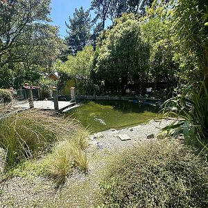 Little Blue Penguin Exhibit