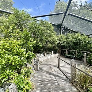 Kea Aviary