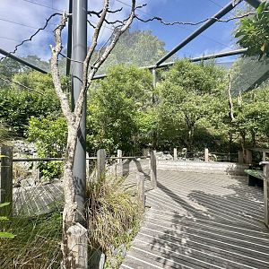 Kea Aviary
