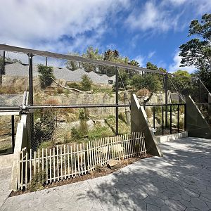 Snow Leopard Exhibit - Right