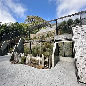 Snow Leopard Exhibit - Left