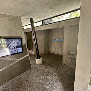Snow Leopard Exhibit - Viewing Shelter