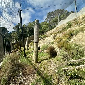 Snow Leopard Exhibit - Viewing Window