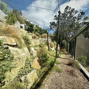 Snow Leopard Exhibit - Viewing Window