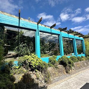 Himalayan Monal House