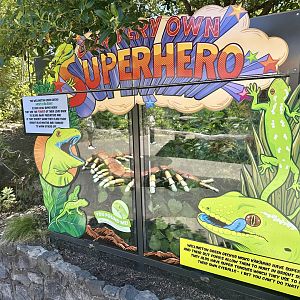 Wellington Green Gecko Exhibit