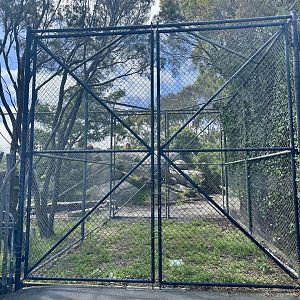 African Lion Exhibit - Service Entrance