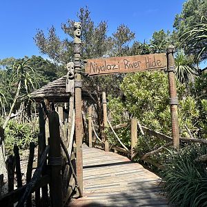 African Savannah - Boardwalk