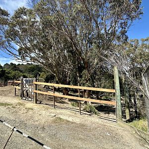 African Savannah - Filter Fence
