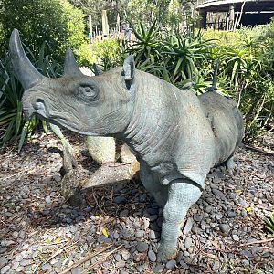 Black Rhinoceros Statue