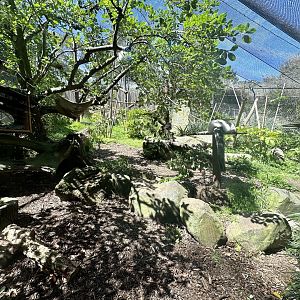Ruffed Lemur Exhibit