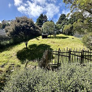 Empty Exhibit (Old African Wild Dog Exhibit)