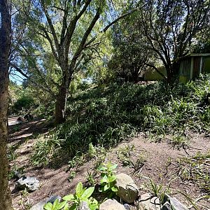 Macropod Walkthrough