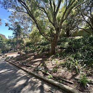 Macropod Walkthrough