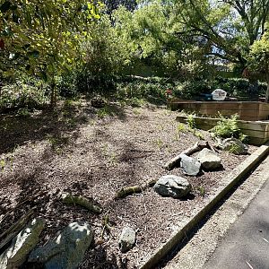 Macropod Walkthrough