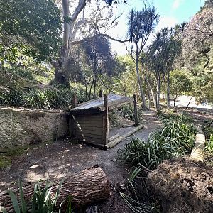 Macropod Walkthrough