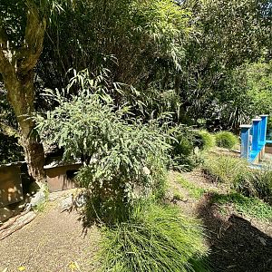 Tasmanian Devil Exhibit