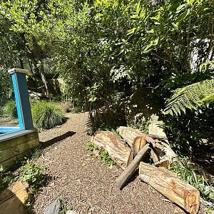 Tasmanian Devil Exhibit