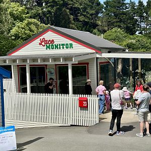 Lace Monitor Exhibit