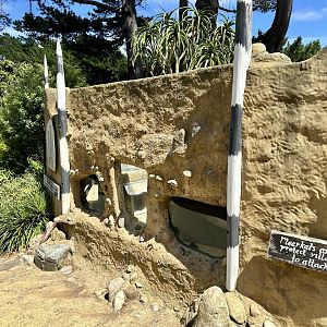 Old Porcupine Burrows