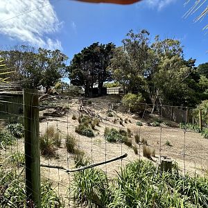 Lowland Nyala Exhibit
