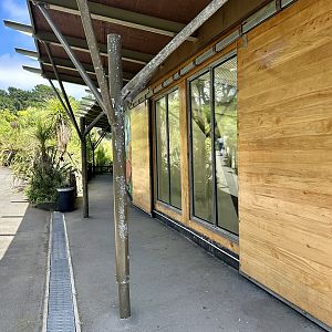 Chimpanzee Night House