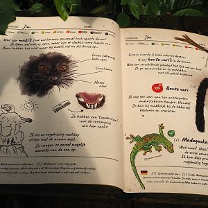 Jungola - Rimbula greenhouse - Lemur and Greater madagascar day gecko signage, 2024-06-23