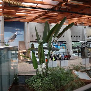 Afrykarium - Entrance hall