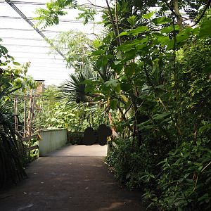 Jungola - Rimbula greenhouse - Exit bridge of lemur zone and road to spider monkey island, 2024-06-23