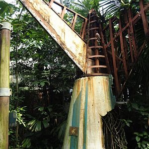 Jungola - Rimbula greenhouse - Tail of crashed plane theming, 2024-06-23