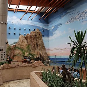 Afrykarium - Start of the tour - Turtle beach and Red Sea aquarium