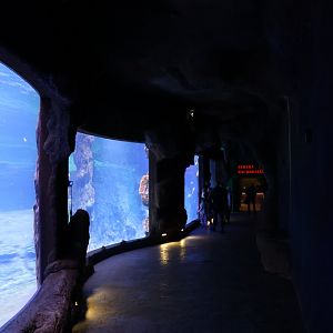 Afrykarium - Red Sea aquarium
