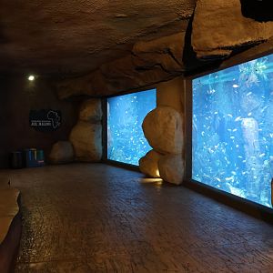 Afrykarium - Lake Malawi (left) and Lake Tangayika  (right) aquariums
