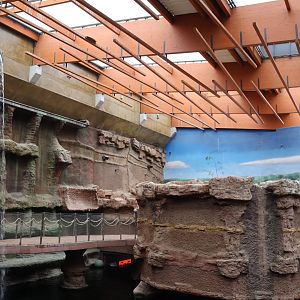 Afrykarium - Hippo exhibit