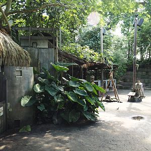 Jungola - Rimbula greenhouse - Jungle's Jim camp theming structures and animal exhibits, 2024-06-23