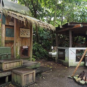 Jungola - Rimbula greenhouse - Jungle Jim's camp and Southern brown tortoise exhibit, 2024-06-23