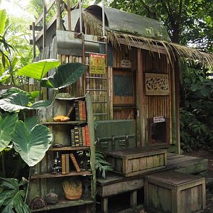 Jungola - Rimbula greenhouse - Jungle Jim's camp, 2024-06-23