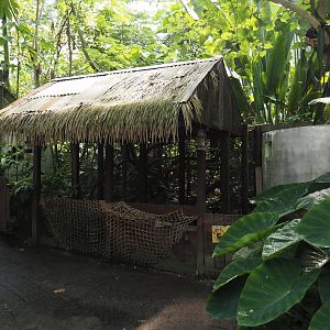 Jungola - Rimbula greenhouse - Pygmy marmoset exhibit, 2024-06-23