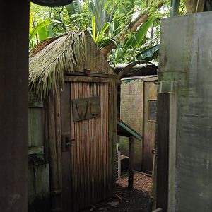 Jungola - Rimbula greenhouse - Behind the scenes area in Jungle Jim's camp, 2024-06-23