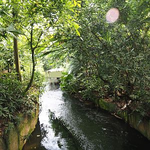 Jungola - Rimbula greenhouse - Rimbula River boat ride canal, 2024-06-23
