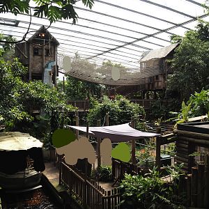 Jungola - Rimbula greenhouse - Rimbula River boat ride dock and queu and Jungle Trail structures, 2024-06-23