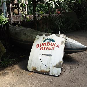 Jungola - Rimbula greenhouse - Rimbula River logo on parts of Jungle Jim's plane, 2024-06-23