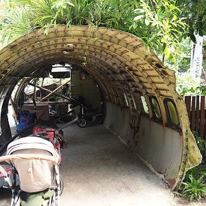 Jungola - Rimbula greenhouse - Jungle Jim's plane fuselage used a buggy parking for Rimbula River boat ride, 2024-06-23