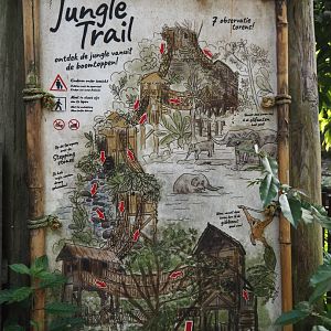 Jungola - Rimbula greenhouse - Map of the Jungle Trail, 2024-06-23