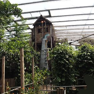 Jungola - Rimbula greenhouse - Rimbula River boat ride dock and Jungle Trail structures, 2024-06-23