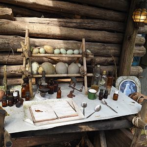 Jungola - Rimbula greenhouse - Jungle Jim research lab site, 2024-06-23