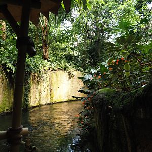 Jungola - Rimbula greenhouse - Rimbula River boat ride canal, 2024-06-23